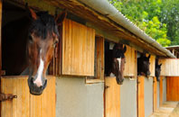 free Caerwys stable construction quotes